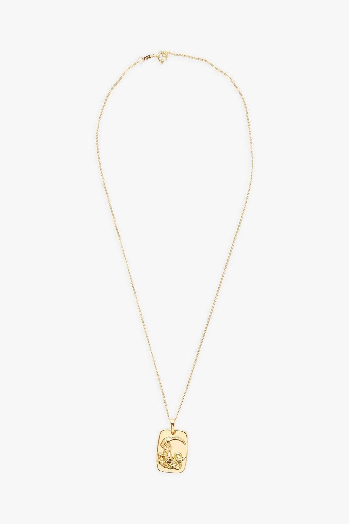 Zodiac Necklace Capricorn - Reliquia Jewellery