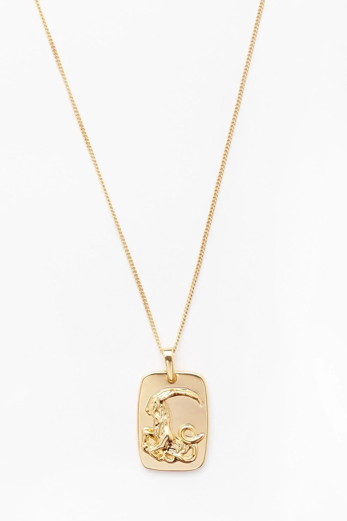 Zodiac Necklace Capricorn - Reliquia Jewellery