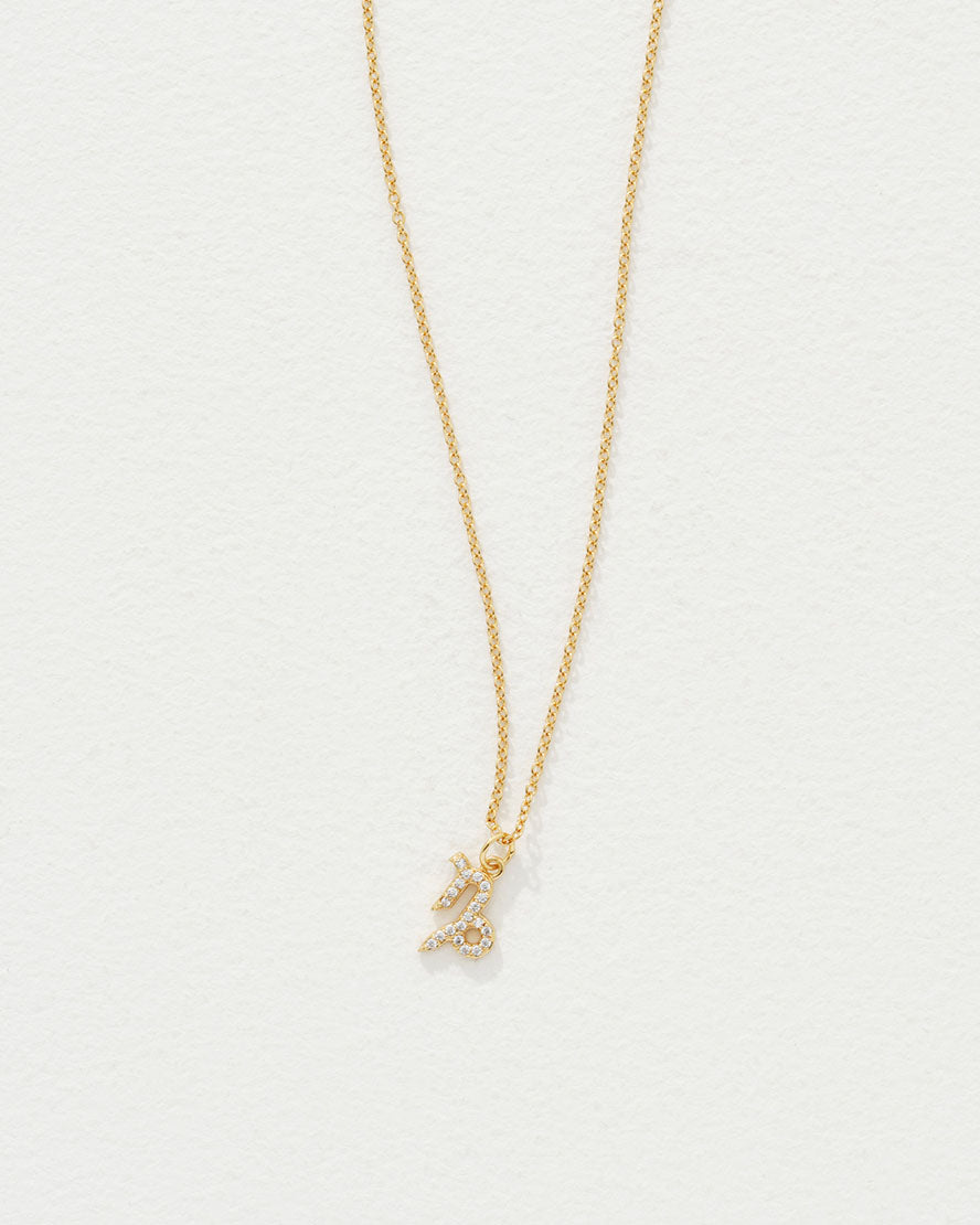 Celestial Necklace Capricorn